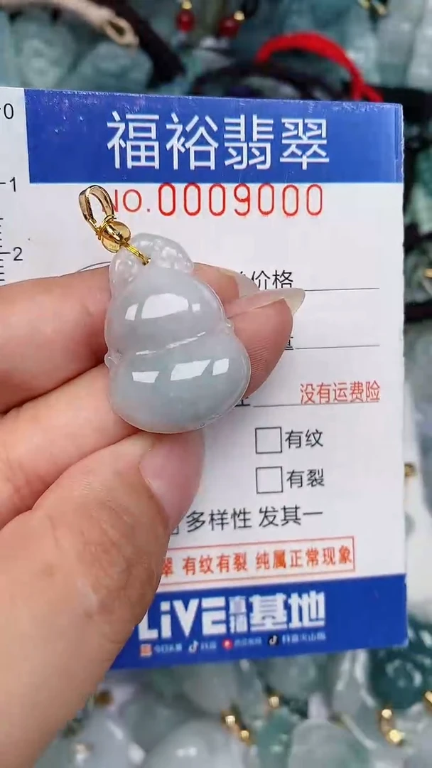 翡翠未镶嵌颈饰...0009000