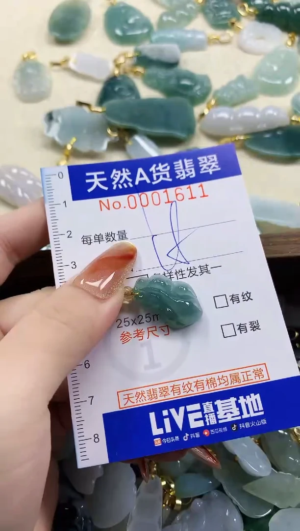 颈饰未镶嵌翡翠天然A货翡翠