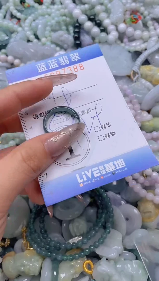 翡翠未镶嵌颈饰闪购0297388