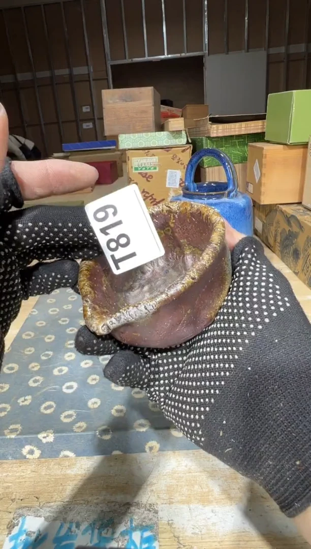 新D*直播定闪专用链接