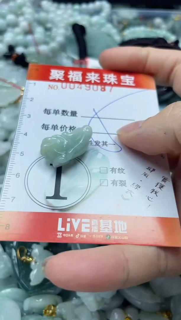 【闪购商品】翡翠颈饰未镶嵌闪购0049087