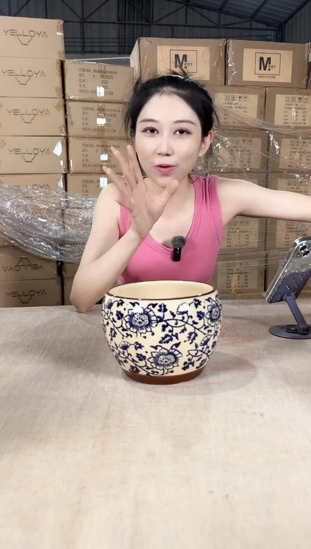 苹果青花瓷中号16x12