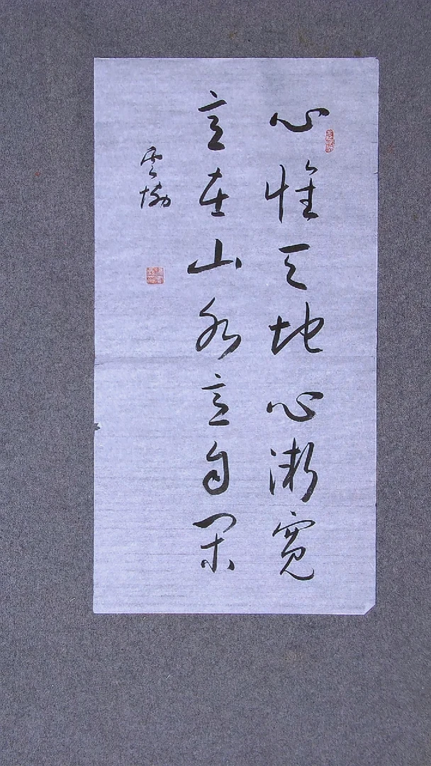 书法谭云协宁夏 副主69*34两平尺对联