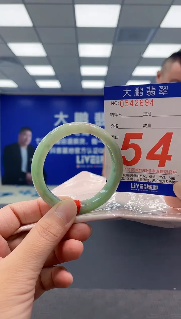 未镶嵌手镯翡翠AAAAAAAAAA