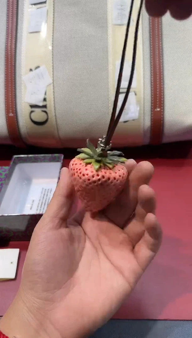 瓷片SP800全场正品，京东包邮