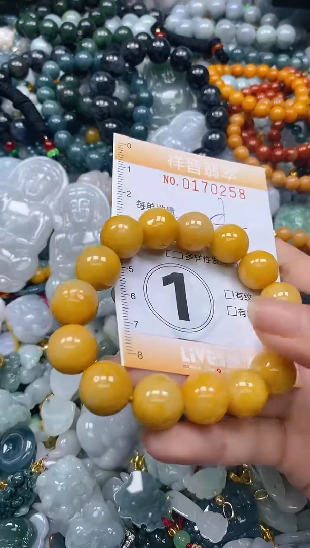 翡翠未镶嵌颈饰闪购0170258