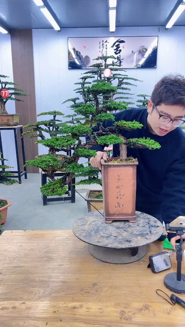 无花朵0000000000000000