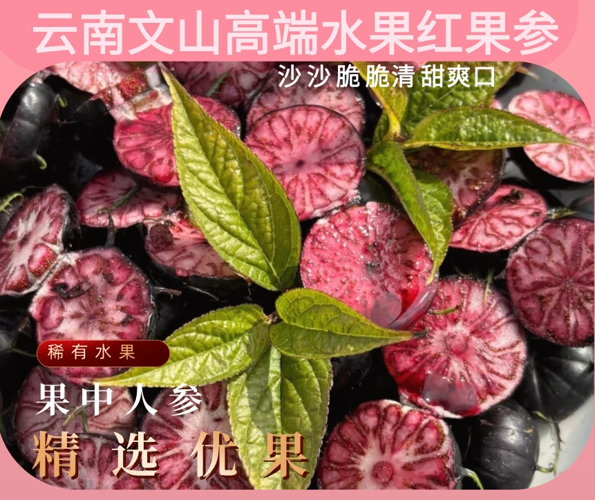 【只卷品质当天采摘】果中人参云南红果参精品水果 顺丰新鲜到家