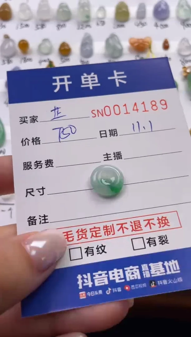 颈饰未镶嵌翡翠芷*14189