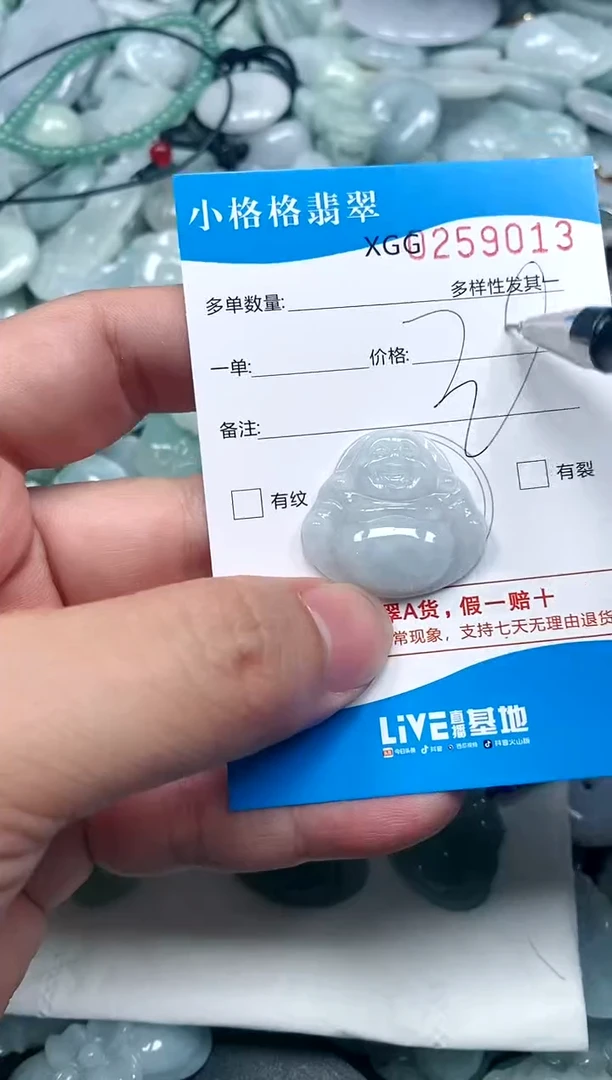 翡翠未镶嵌颈饰闪购商品0259013