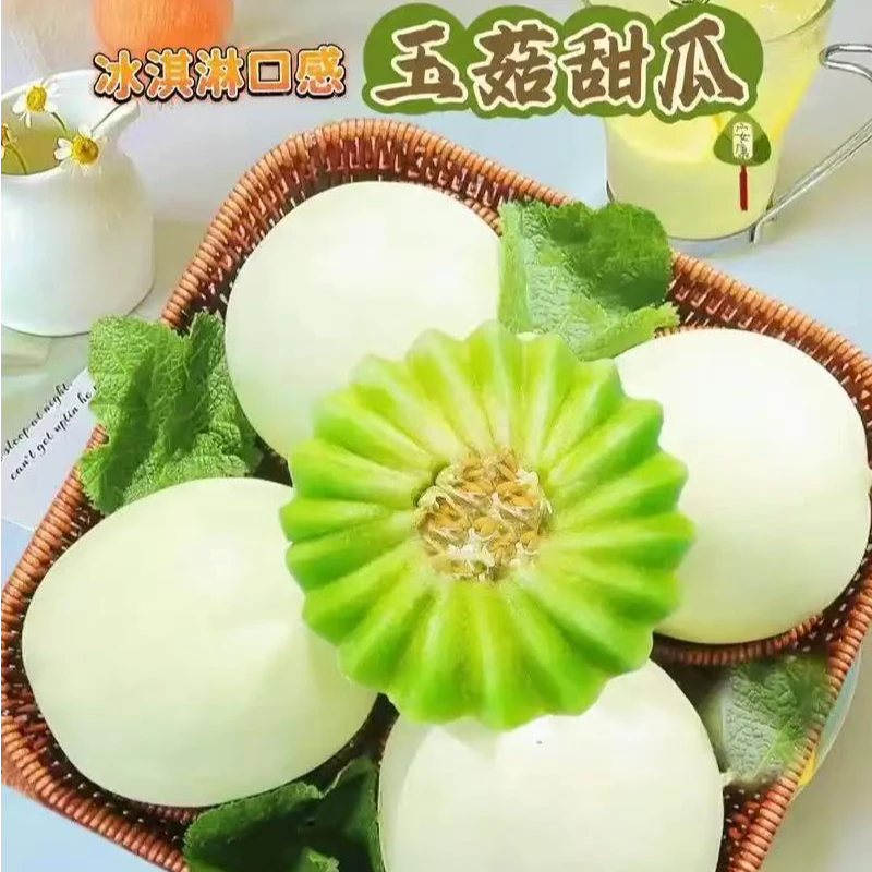 【玉菇甜瓜】玉菇冰淇淋蜜瓜带箱五斤当季水果产地直发
