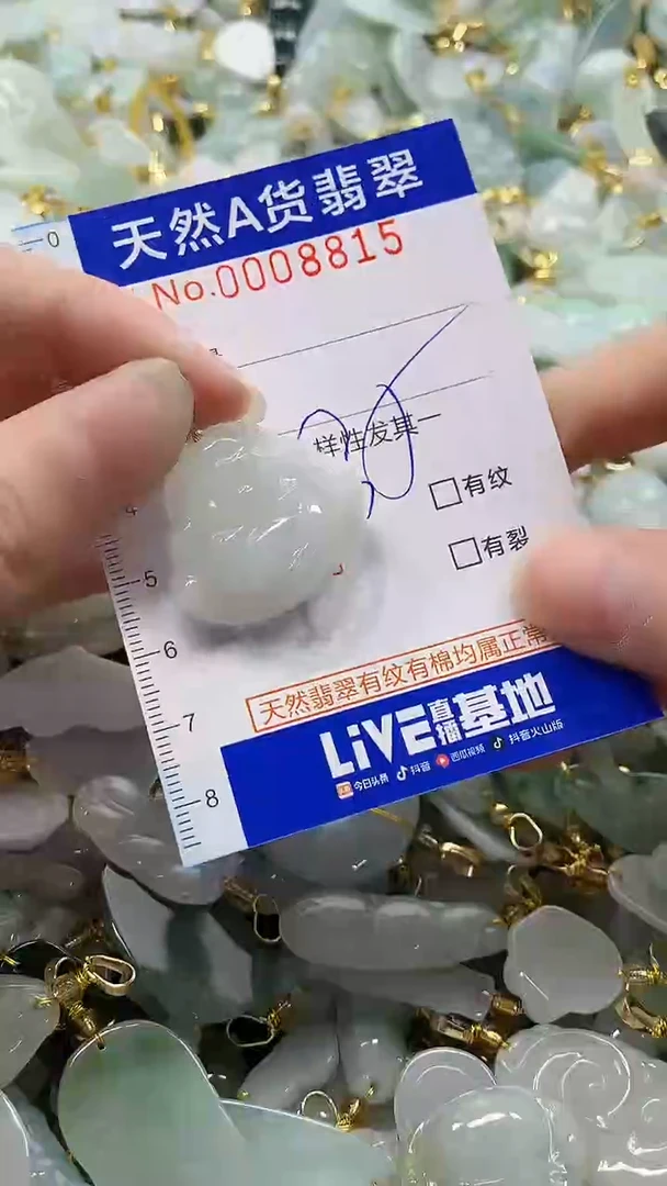 颈饰未镶嵌翡翠纯天然a货翡翠