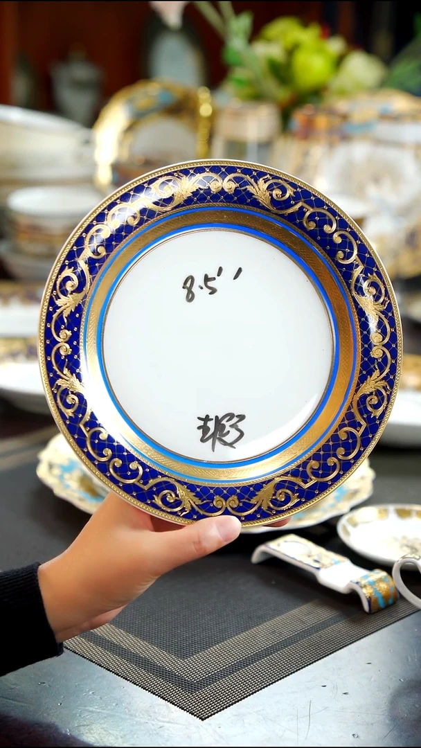 瓷片8.5英寸反边菜盘 一个