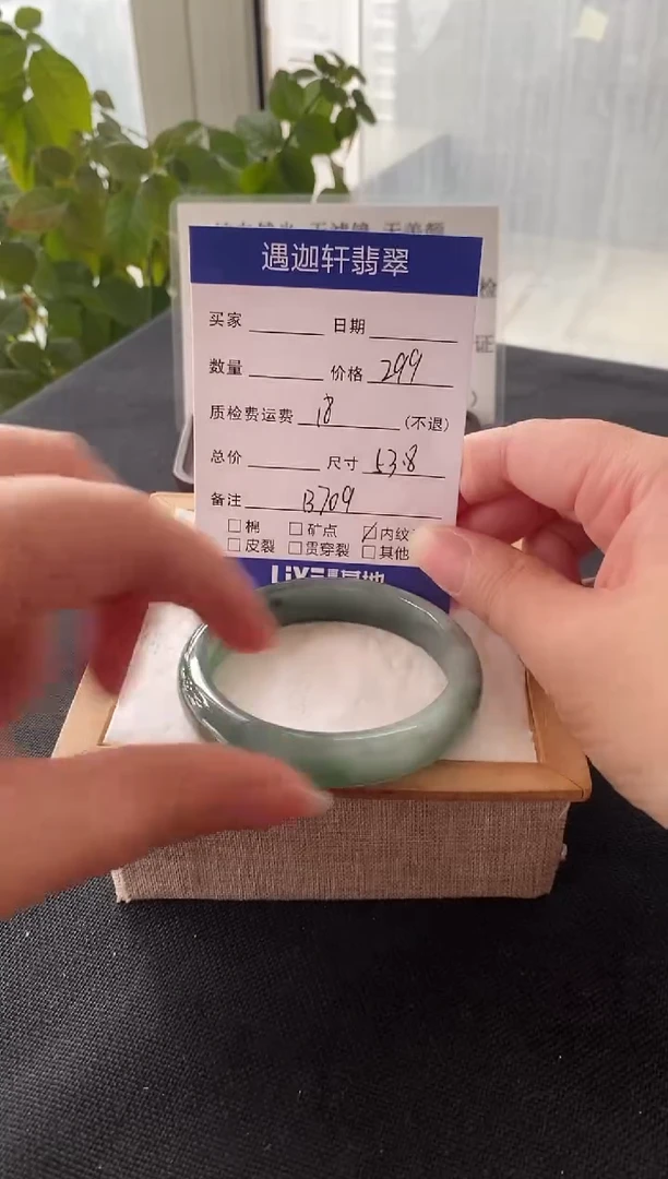未镶嵌手镯翡翠53.5圈口 D709编码