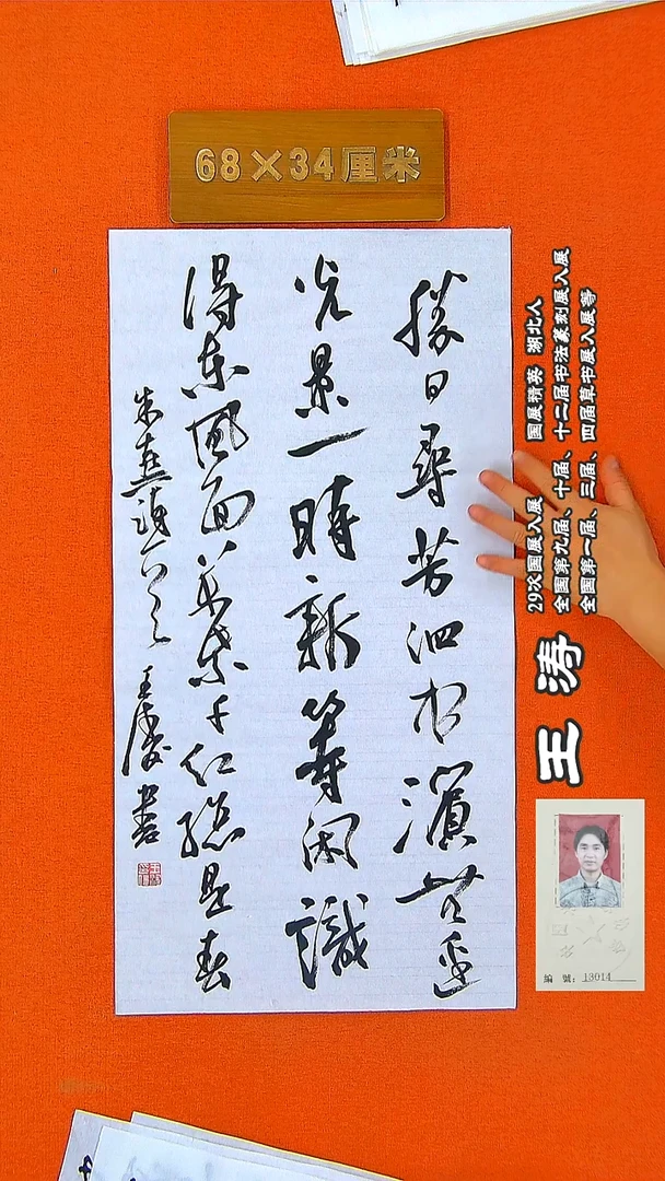 书法295R王涛书法作品