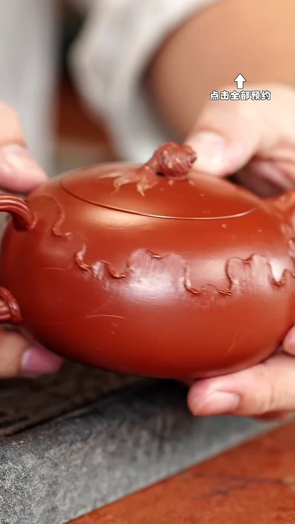 宜兴紫砂茶壶茶壶91