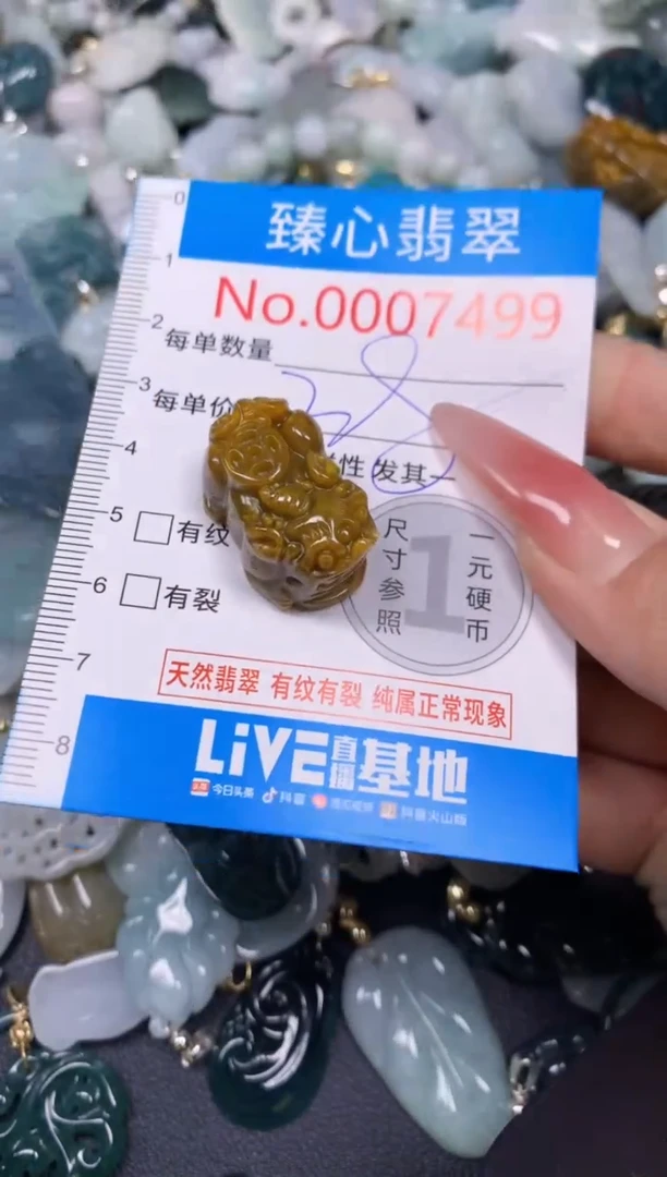 【闪购商品】翡翠颈饰未镶嵌含绳0007499