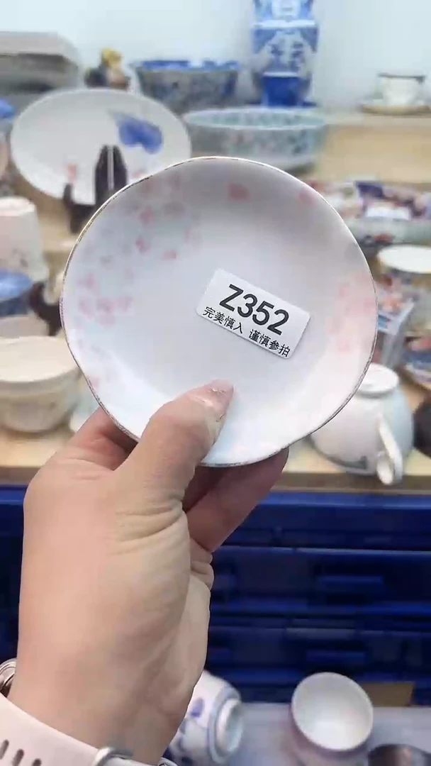 【闪购商品】瓷片352