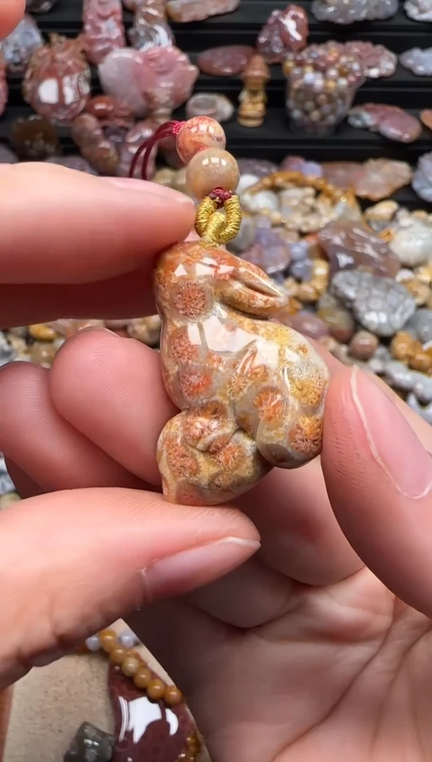 【闪购商品】硅化珊瑚（珊瑚玉）颈饰未镶嵌119