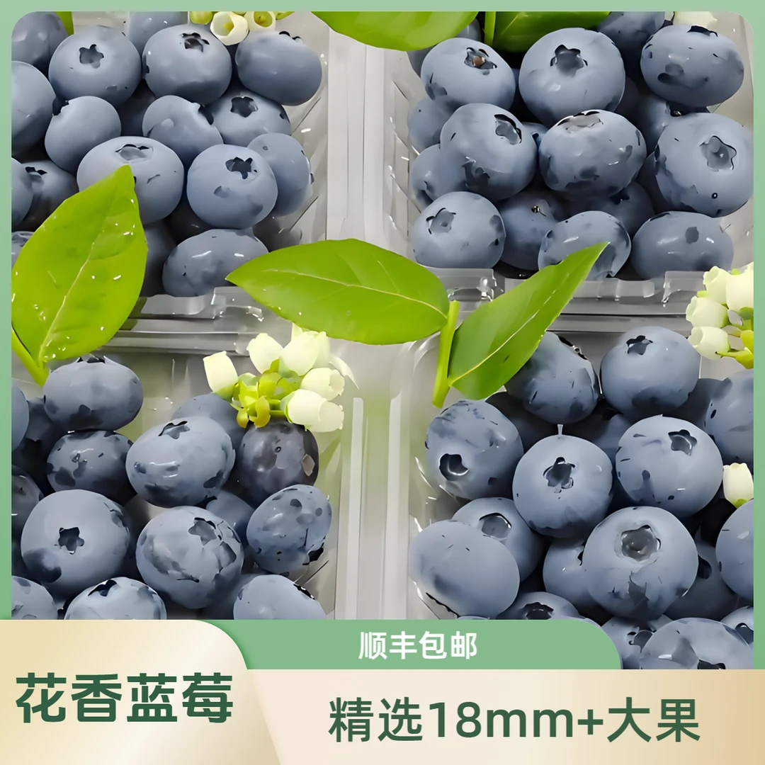 18mm+云南花香蓝莓  2盒专享/1000g全家桶装｜顺丰包邮蓝莓同城送云南蓝莓广西壮族自治区丽江市