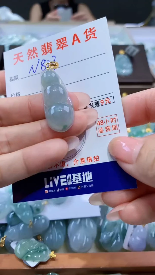 颈饰未镶嵌翡翠天然翡翠A货挂件
