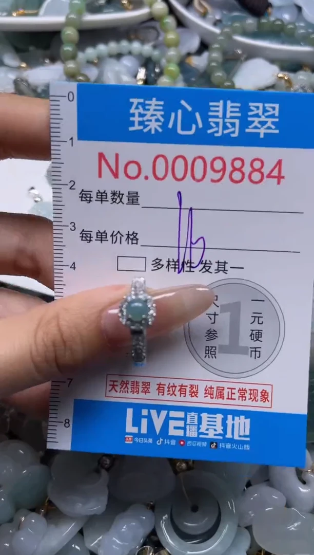 颈饰未镶嵌翡翠9884