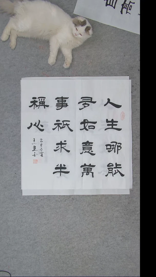 书法王老师书法陕西西安