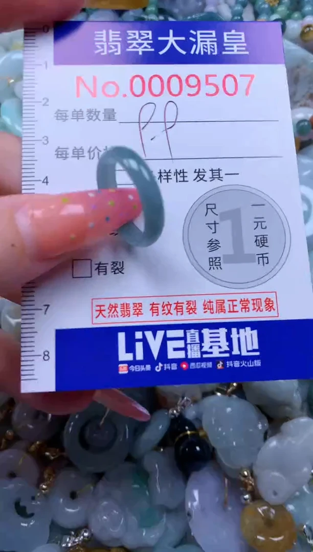翡翠未镶嵌吊坠(不含链)9507