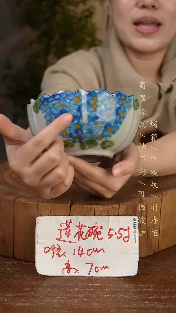 碗瓷景德镇手工手绘高温瓷釉下彩