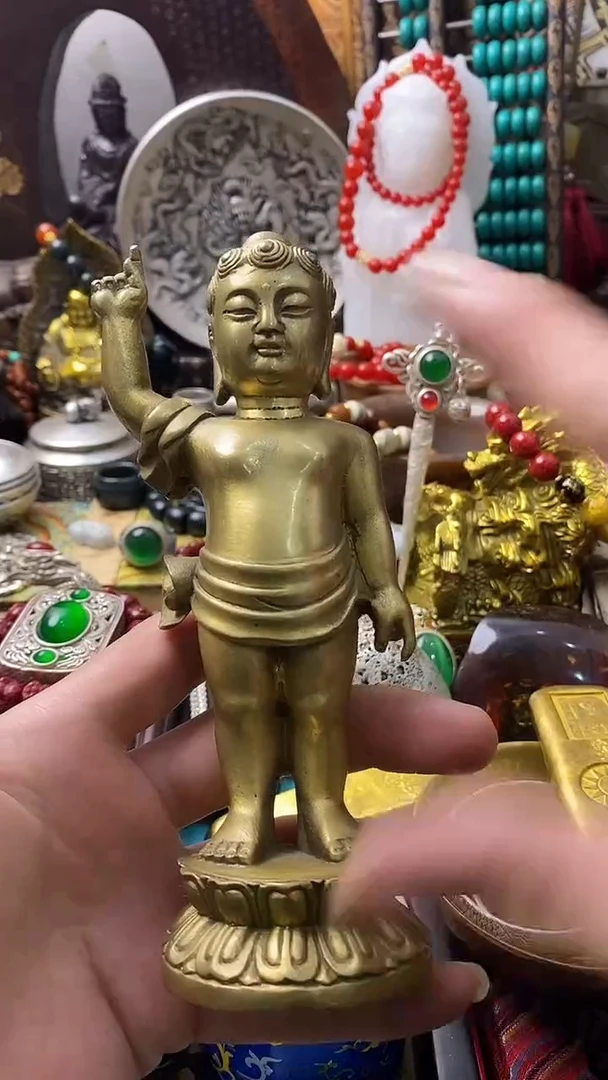 -----主播推荐------