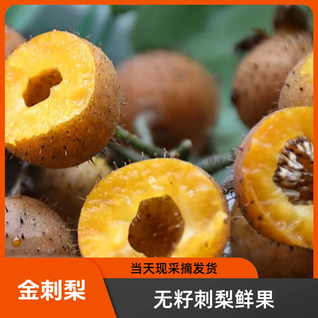 贵州无籽金刺梨鲜果.现摘先发货维C鲜果