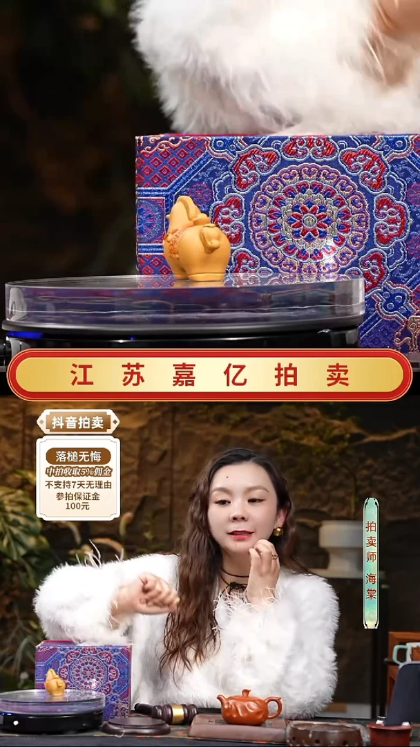 茶壶紫砂精品紫砂茶宠 含赠品