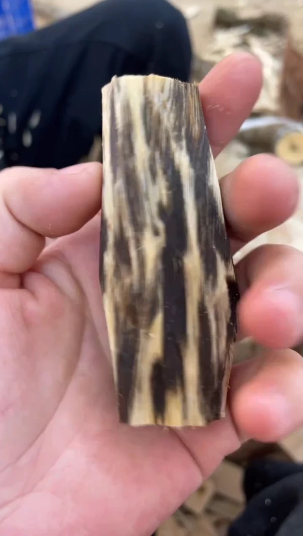 沉香沉香碎屑丝****蛋棋楠沉香 原料文创1