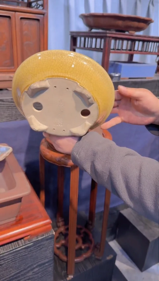 【闪购商品】-真山黄釉-U83