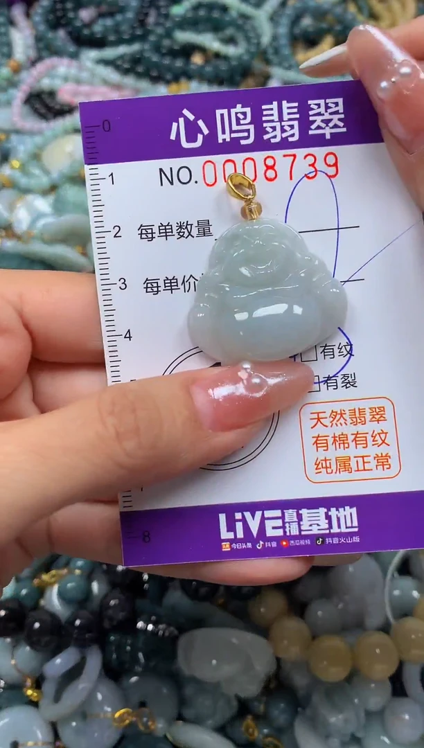 颈饰未镶嵌翡翠闪购008739