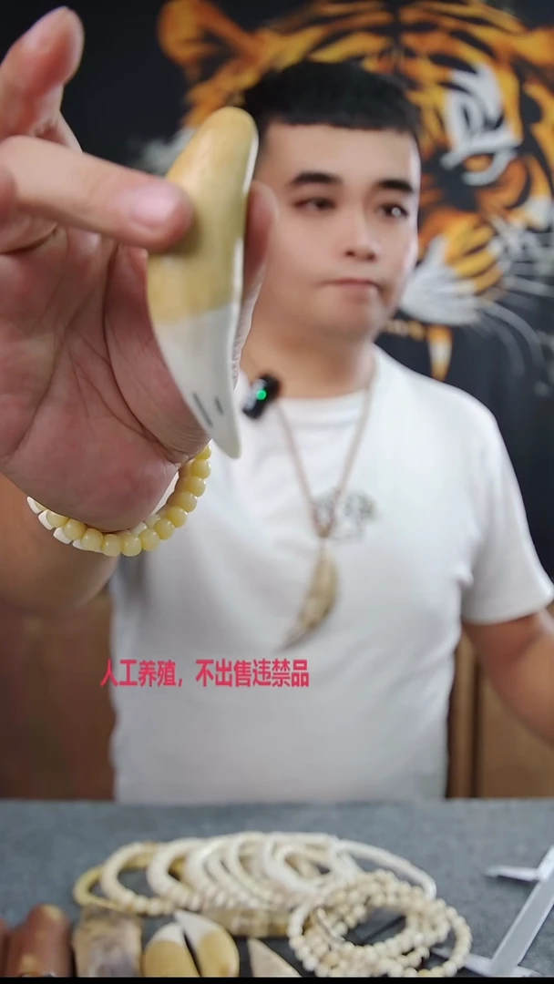 驼骨把件9厘米牙牙