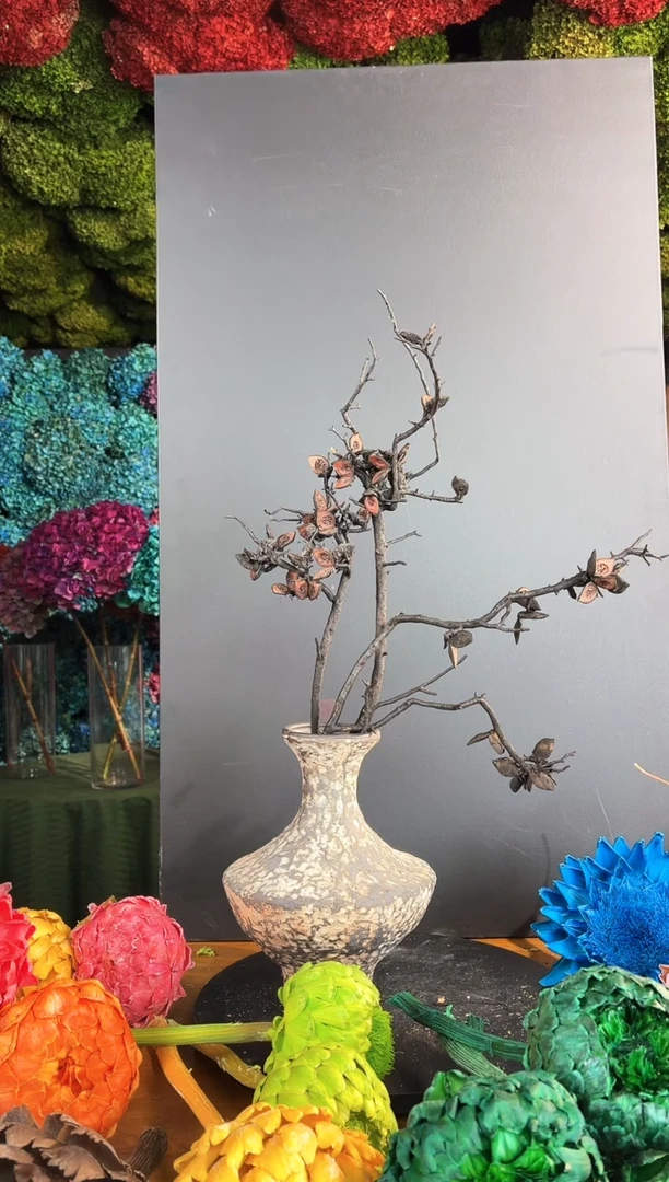 91 进口火烧哈克木三枝