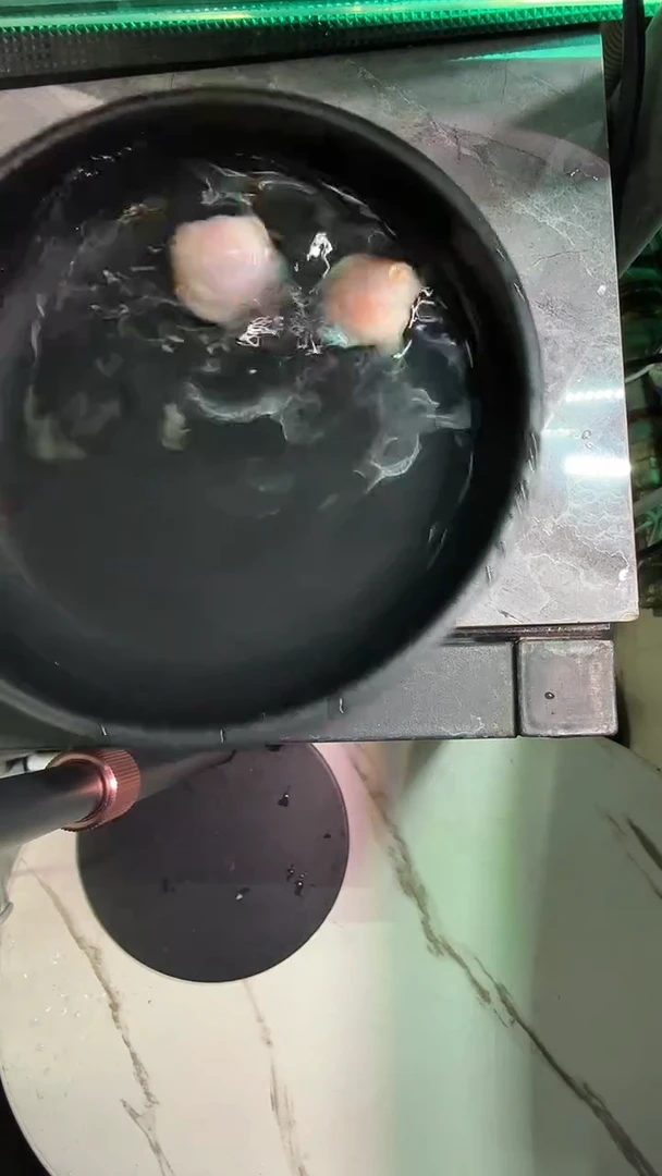 鹦鹉鱼144222424242
