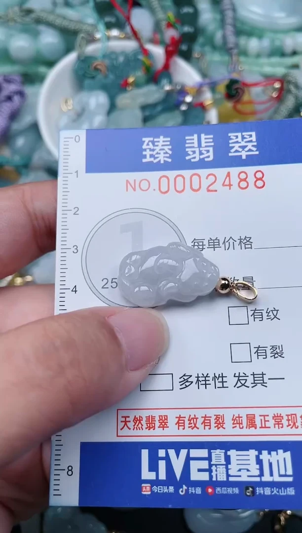 翡翠未镶嵌颈饰.0002488