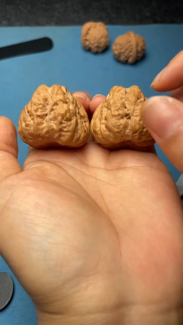 桃核把件w131  蛤蟆头 38尺