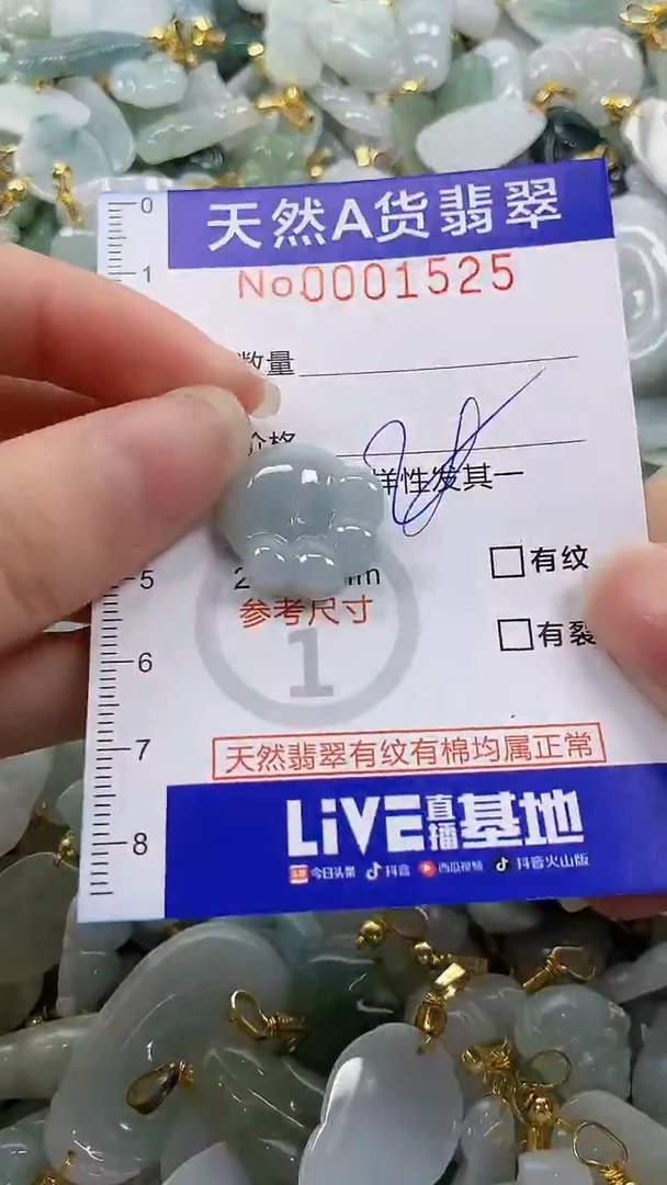 颈饰未镶嵌翡翠纯天然货a翡翠