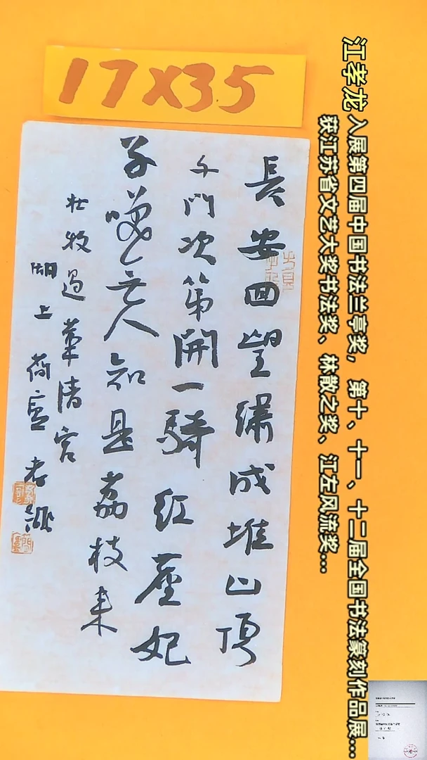 【闪购商品】书法江孝龙书法作品长安回望17*35