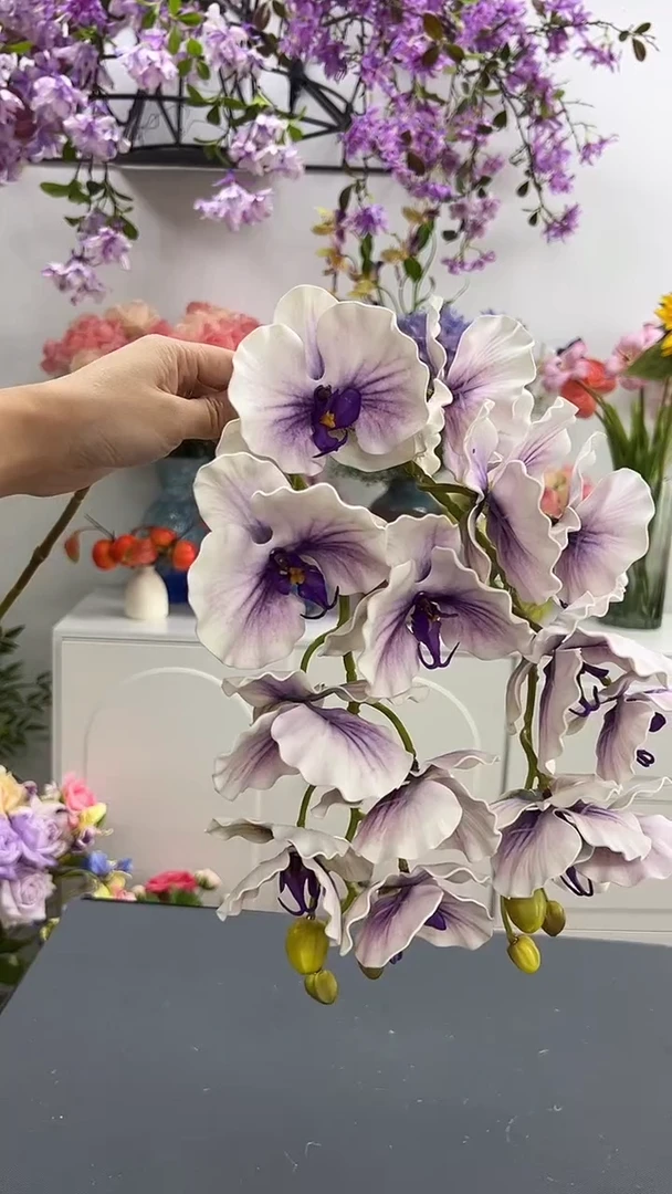 2枝紫色蝴蝶兰花花
