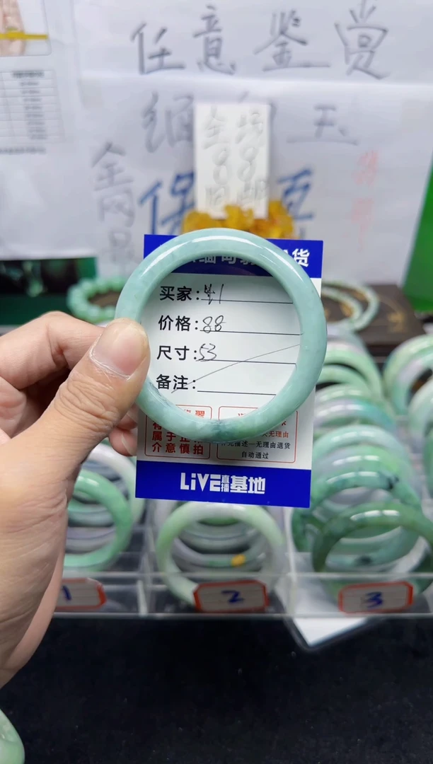 未镶嵌手镯翡翠42