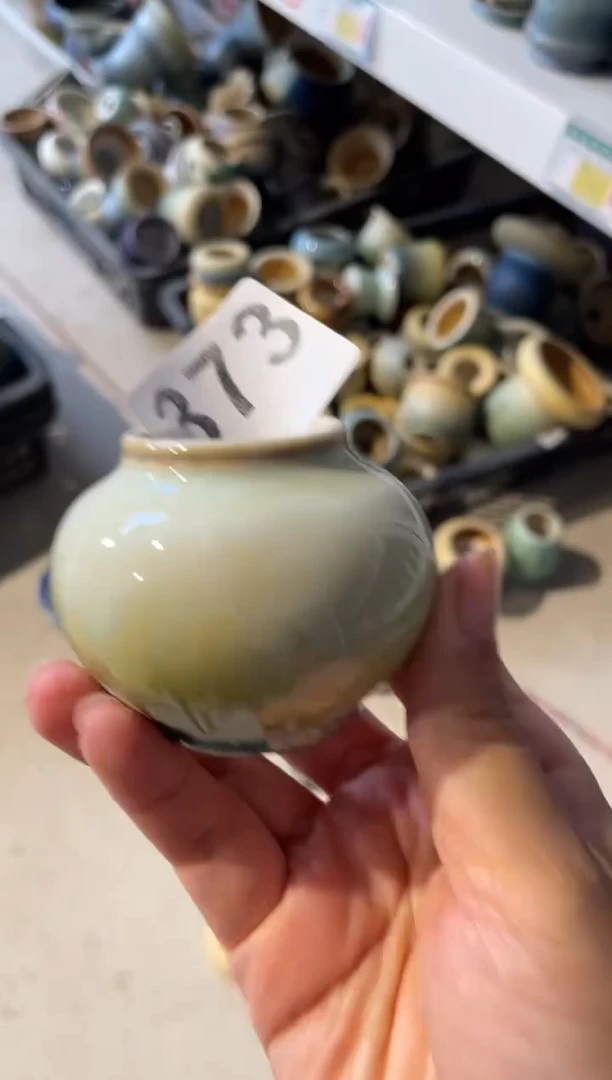 瓷片爱****）373微瑕知木小芳花盆