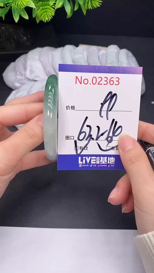 未镶嵌手镯翡翠2363
