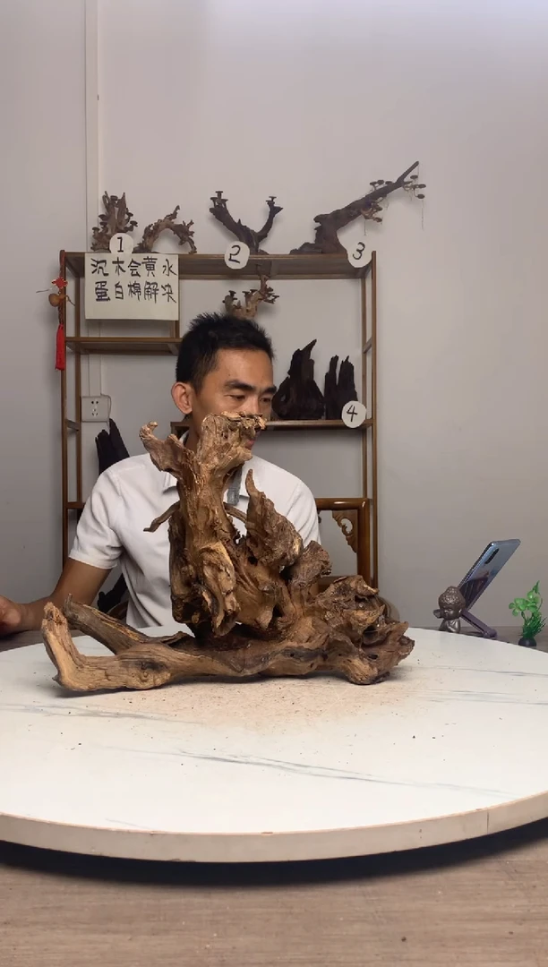 叶**、鱼缸造景沉木摆件