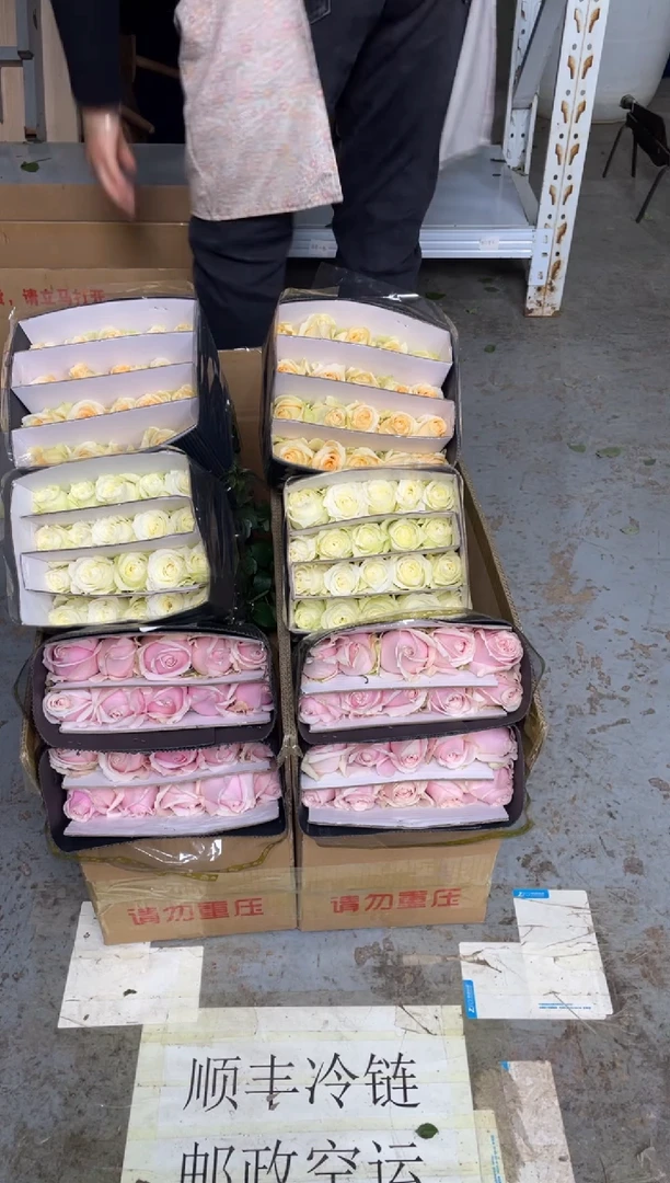 粉红20枝+骄傲20枝+香槟20枝