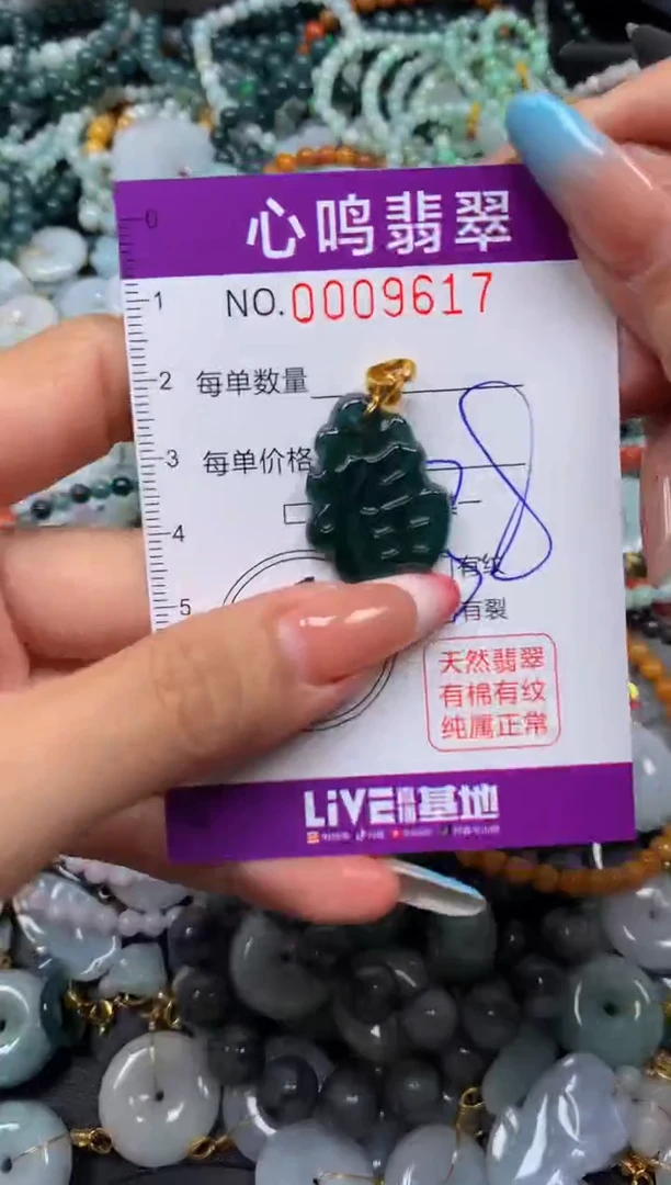 翡翠未镶嵌颈饰闪购009617