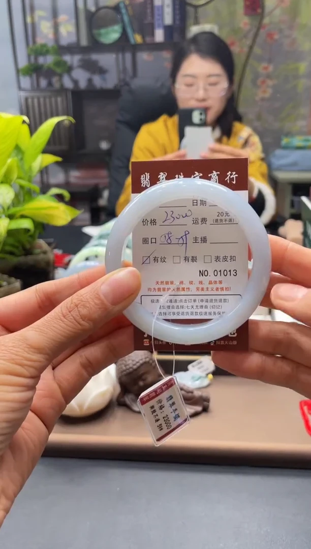 未镶嵌手镯翡翠1013****